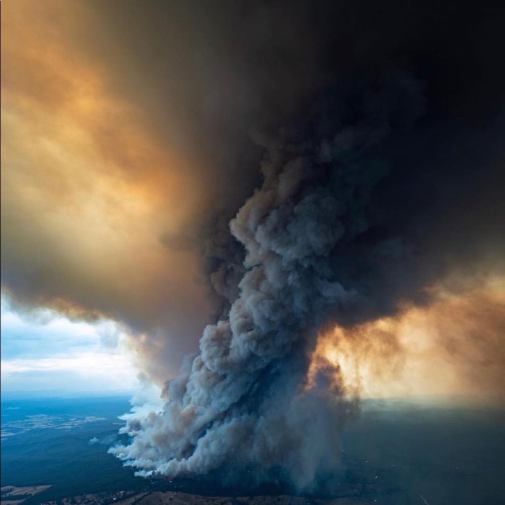 DONATING to Australia Fire - Picture 7 of 7